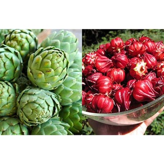 #Hạt_giống_Atiso ( Đỏ + Xanh )