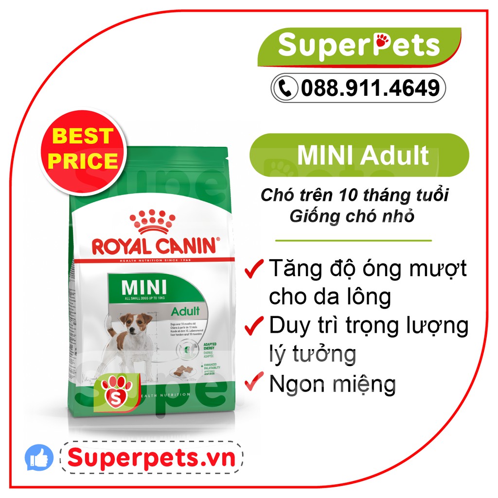 Thức ăn Royal Canin cho Chó Trưởng Thành Size Nhỏ Mini Adult 800G SUPERPETS VIỆT NAM