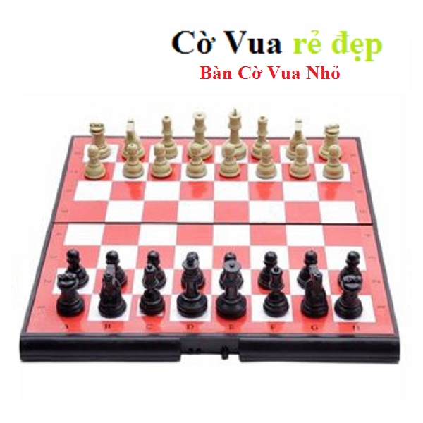 Bộ cờ VUA bàn cờ nhựa 28 x 28 (cm)