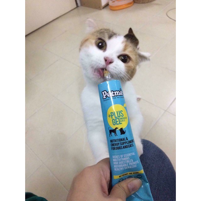 🐶🐱Gel dinh dưỡng Petme Plus Gel dành cho cún mèo💦 Ảnh thật