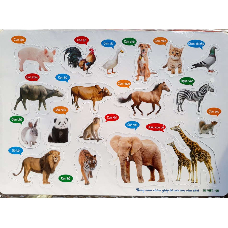 Bảng dán hình nam châm