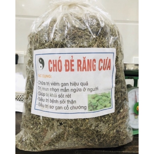 1Kg Chó đẻ răng cưa( diệp hạ châu) CAM KẾT THƠM,SẠCH ,MỚI
