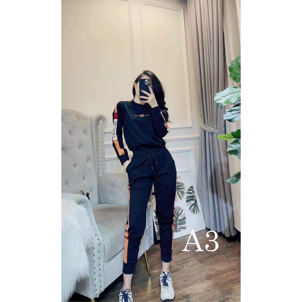[Giảm 39%]Set bộ đồ quần áo thun nữ thu đông dài tay thời trang W-Laura Fashion-3 size từ 47-70Kg tùy chiều cao -Vải UMI