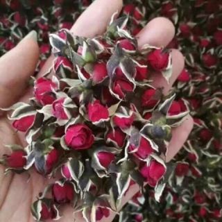 Sỉ toàn quốc nụ hoa hồng 100g - 200g - 300g