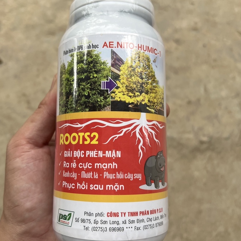 kích rễ cực manh, giải độc, phục hồi cây, bung chồi, xanh cây mướt lá mai vàng