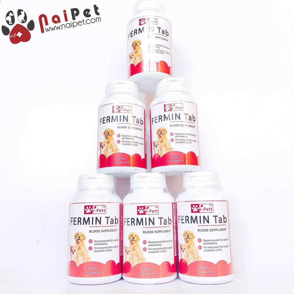 Viên Dinh Dưỡng Bổ Sung Máu Fermin Tab