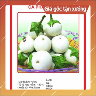 Hạt giống Cà Pháo Trắng 1gram Hạt giống