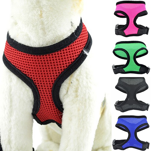 Áo Lưới Mềm Mại Cho Thú Cưng