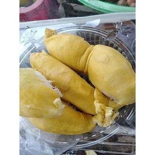 Sầu Riêng Ri6 Bao Ăn 100%