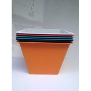 combo 5 chậu vuông màu - size 35 cm