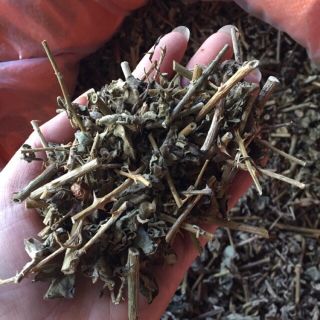 Cà gai leo khô 500g