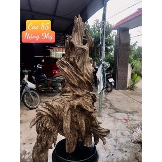 trầm cảnh phòng thuy