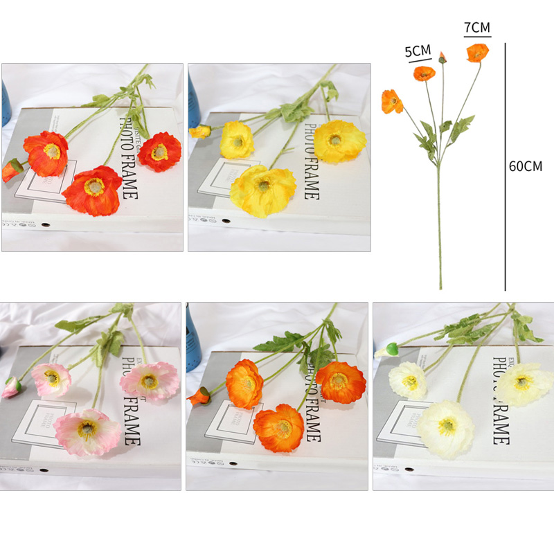 Bình Hoa Thủy Tinh Trong Suốt Phong Cách Bắc Âu