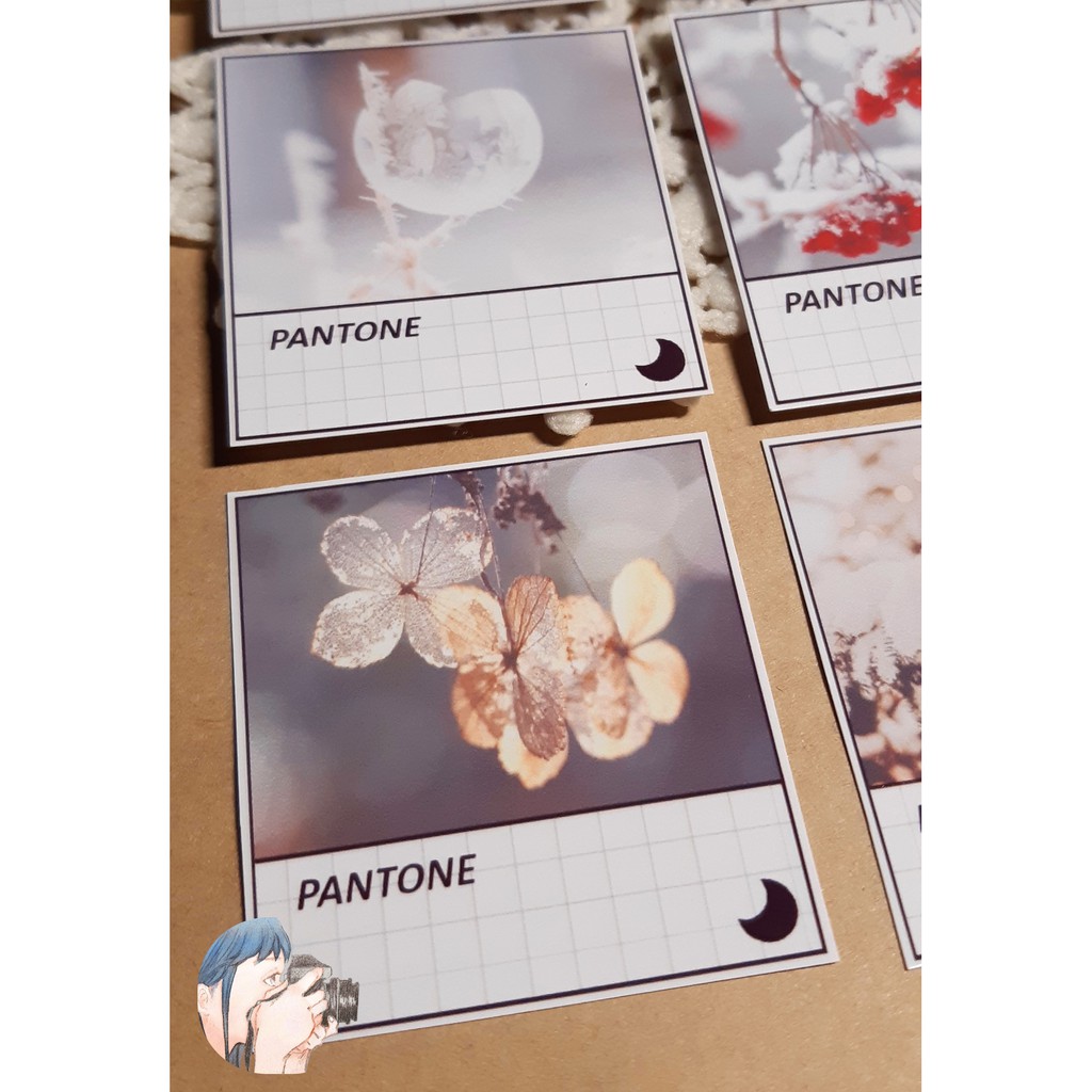 bộ sticker dạng pantone dùng trang trí sổ nhật ký, planner, góc làm việc, học tập...