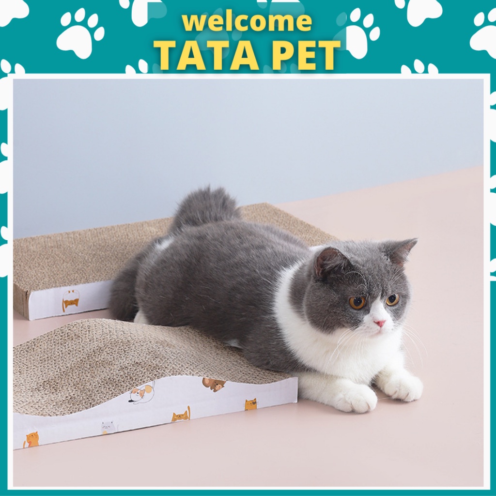 Đồ chơi cho mèo - bàn cào móng làm sạch và mòn móng SÓNG MỘT MẶT (CM19) TATA PET