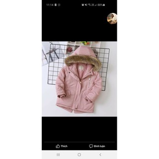 Áo parka lót lông