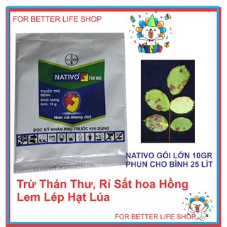 Trừ Rỉ Sắt, Thán Thư, Sương Mai, Trên Hoa Hồng, Lem Lép Hạt lúa NATIVO 10GR BÌNH 25 Lít Nước