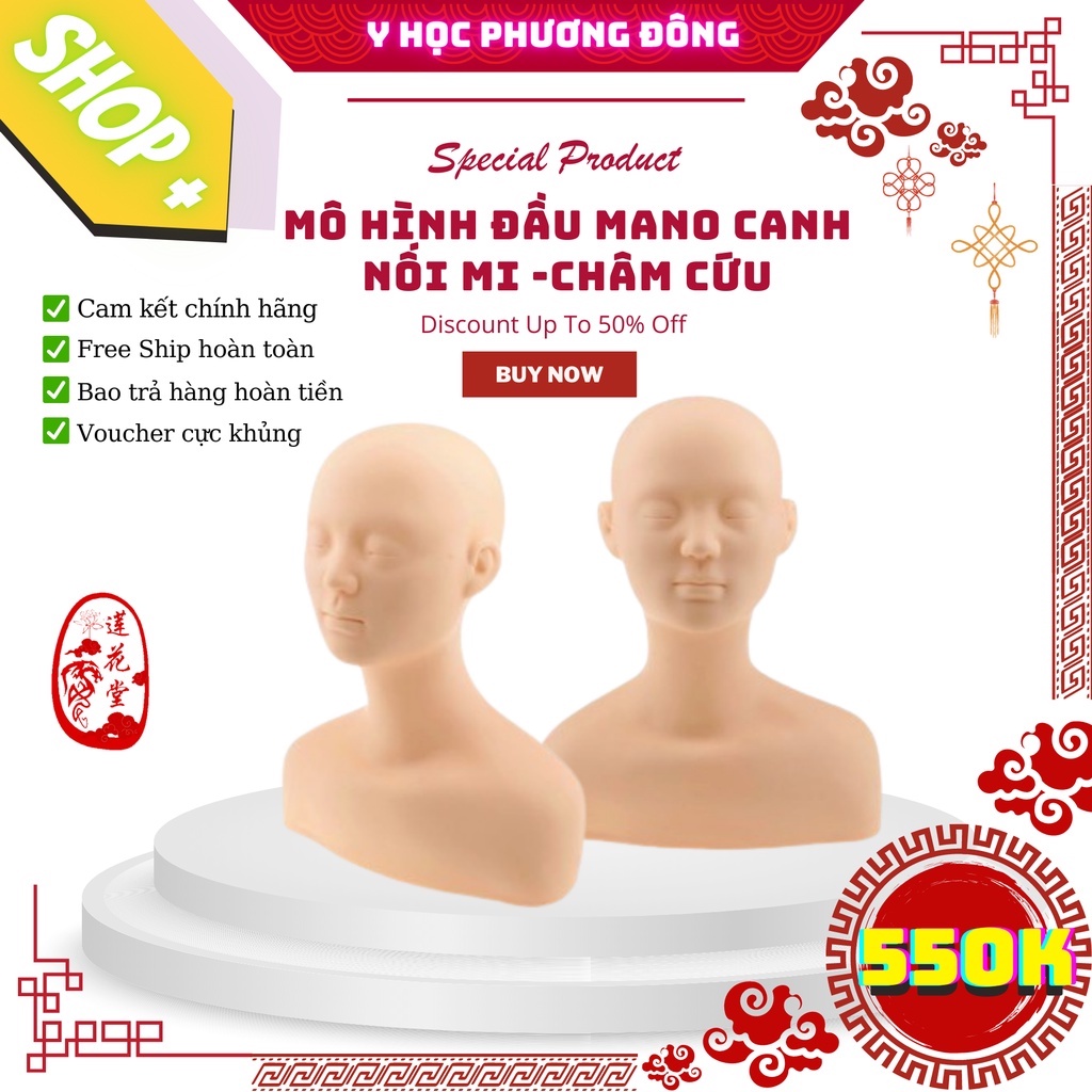 MÔ HÌNH ĐẦU LUYỆN TẬP CHÂM CỨU MASSAGE VÀ TRANG ĐIỂM