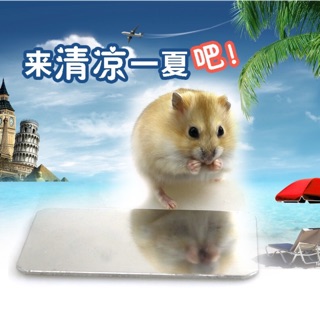 TẤM NGỦ LẠNH CHO HAMSTER THỎ BỌ