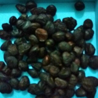 Hạt dổi rừng 50g