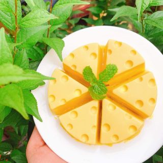 Khuôn silicon hình miếng pho mai