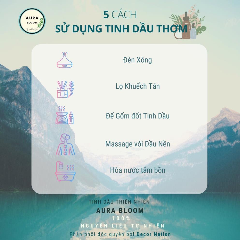 Tinh Dầu Sả Chanh Đuổi Muỗi Thiên Nhiên Aura Bloom Nguyên Chất 10ml | Tinh dầu treo xe Nhập Khẩu có kiểm định