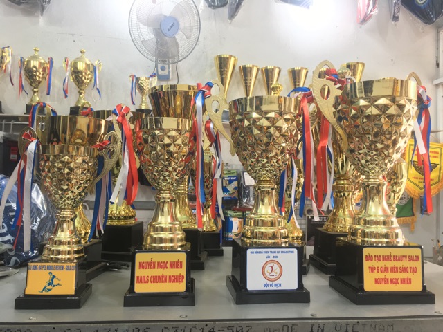 Quả Bóng Vàng, Chiếc Giày Vàng, Găng Tay Vàng