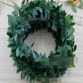 1 bó 7.5m Dây lá làm vòng kỉ yếu