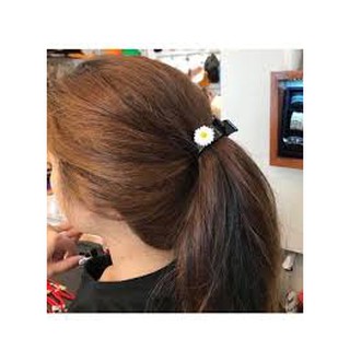 Cặp ba răng hoa cúc họa mi hot