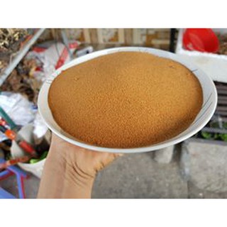 Cát Nắng Vàng-  Trang trí hồ thủy sinh -Luca Aquarium