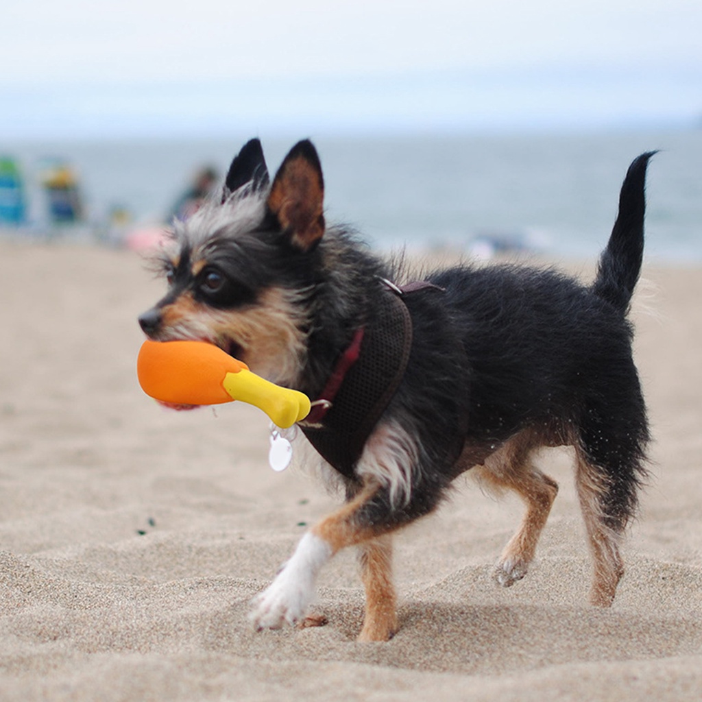 Đồ chơi hình đùi gà chất liệu nhựa PVC dành cho thú cưng