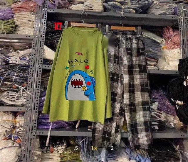 Sét áo cá HALO tay dài + quần kẻ KT12 , áo kiểu nữ, áo thun nam nữ, quần khaki, quần nữ, sét bộ mặc ở nhà MODY