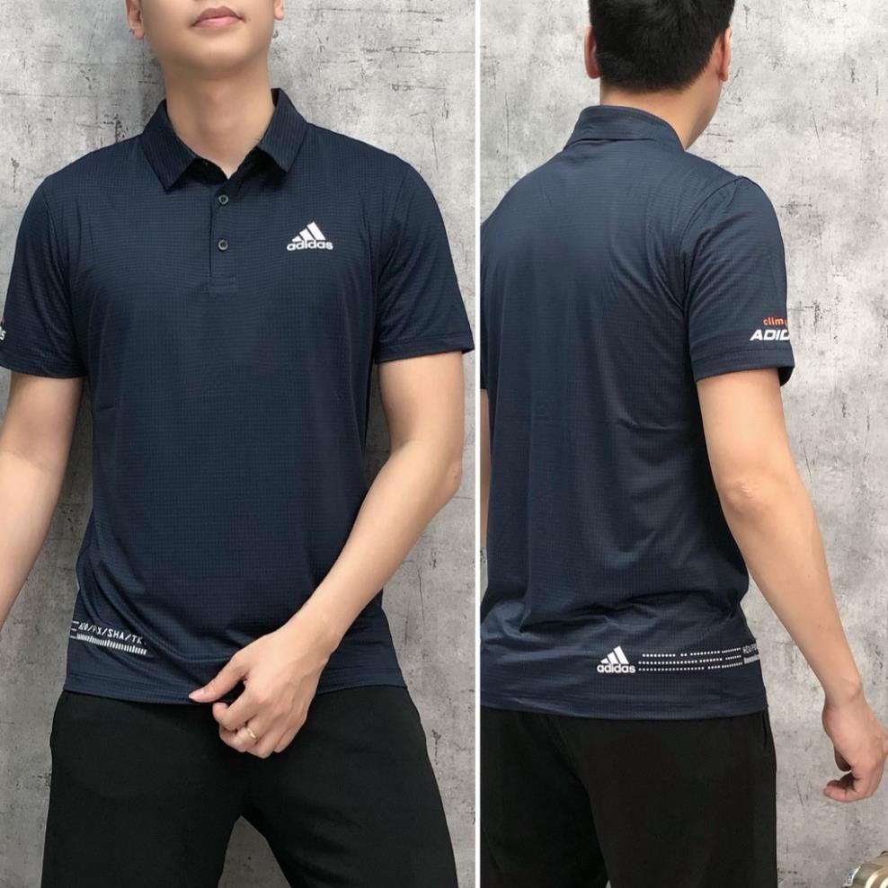 Áo thun polo thể thao gym nam bigsize cao cấp áo phông cổ bẻ nam xuất khẩu APTTB 22 - 230 !