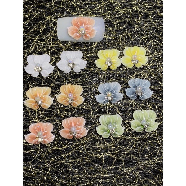 Hoa Bột Nail Hoa chân cúc vẽ