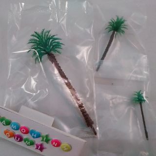 Cây dừa cọ
