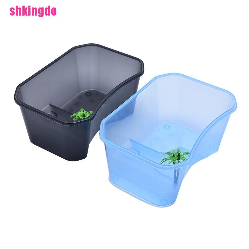 Hộp nuôi rùa/thú cưng bò sát có ngăn đựng nước tiện dụng