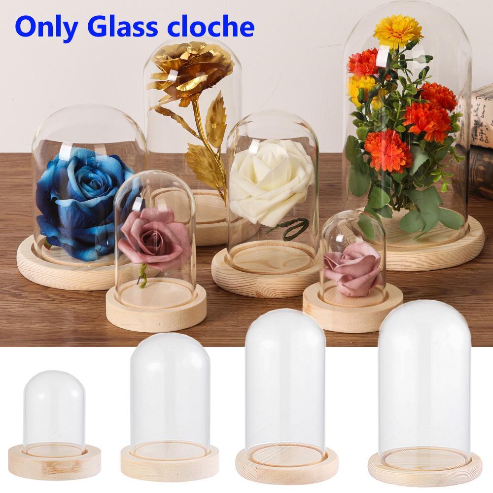 Lọ Thủy Tinh Đựng Hoa / Cây Cảnh Có Đèn Trang Trí Nhà Cửa