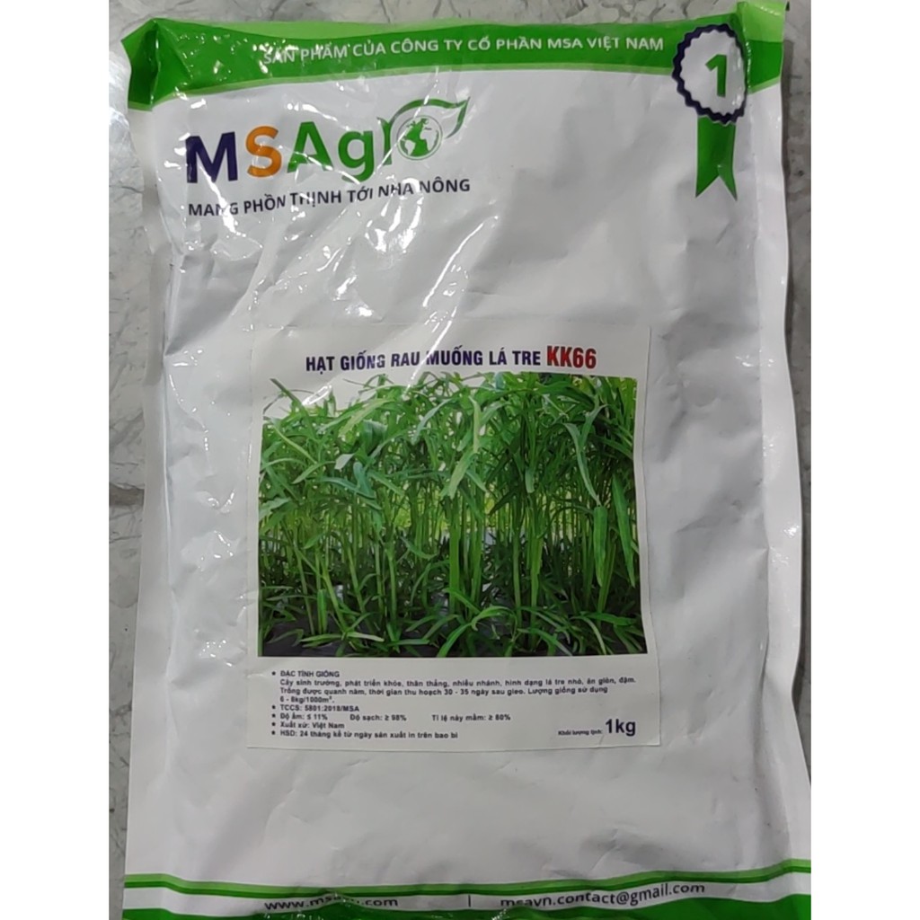 Hạt giống rau muống trồng lá nhỏ 1kg