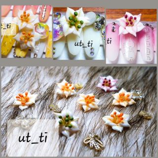 Hoa ly vip - nhụy có lay được.