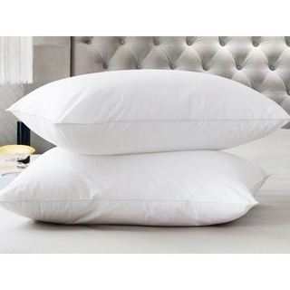 Ruột gối nằm poly cotton và gối ôm