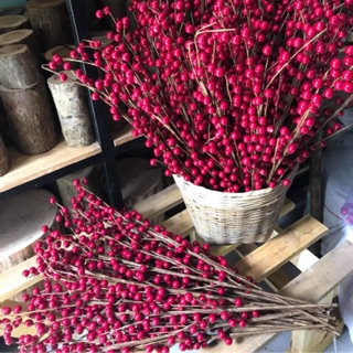 1 cành đào đông (cherry) giả
