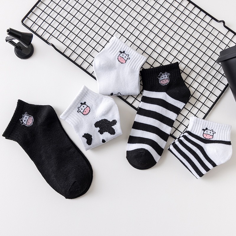 Set 5 tất bò sữa Bivota tất cổ ngắn hàn quốc unisex cực xinh T128