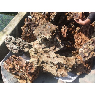 Đá trang trí hồ cá: Tiger 40.000/1kg - Huấn Sinh Vật Cảnh