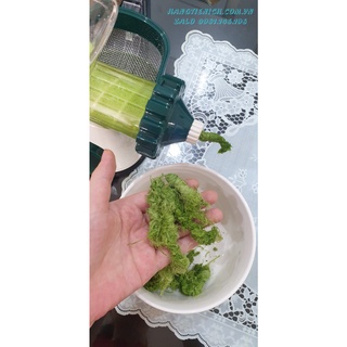Máy ép chậm cỏ lúa mì Lexen Healthy Juicer