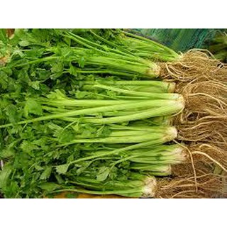 HẠT GIỐNG CẦN TÂY 1GRAM