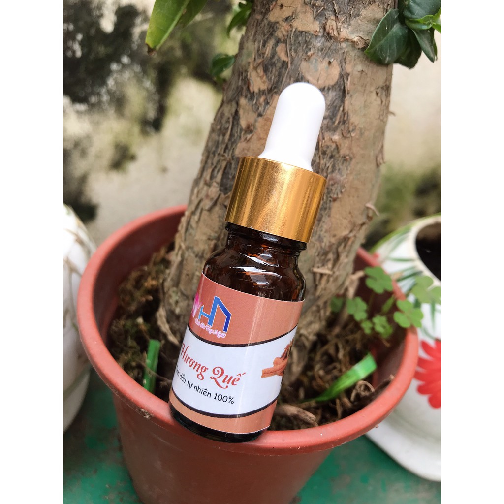 Tinh dầu hương Quế nguyên chất lọ 10ml