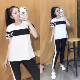 Bo côtbg mật nha
