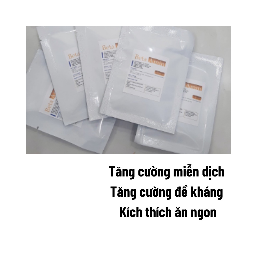 Vitamin cho chó mèo Bột dinh dưỡng tăng đề kháng Beta Amin 30g