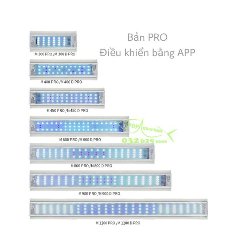 Đèn Week Raptor WRGB M-seri bản mới nhất năm 2021