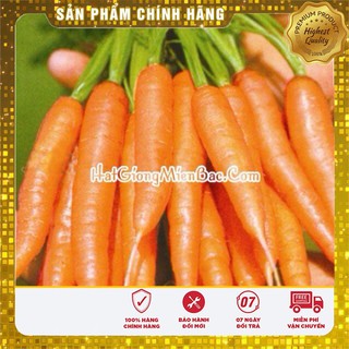 Hạt giống cà rốt mini